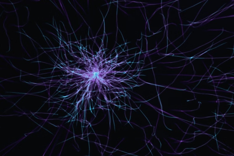 MIT Marvel, New Microscope Reveals Brain's Secrets Cell by Cell