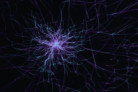 MIT Marvel, New Microscope Reveals Brain's Secrets Cell by Cell