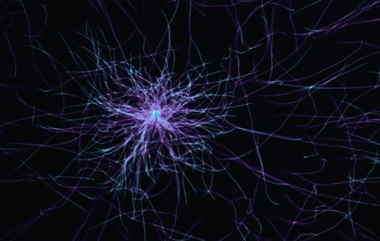 MIT Marvel, New Microscope Reveals Brain's Secrets Cell by Cell