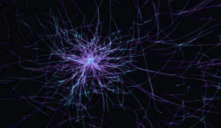 MIT Marvel, New Microscope Reveals Brain's Secrets Cell by Cell