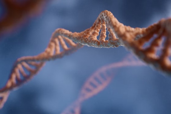 MIT Researchers Unveil AI Model to Boost RNA Vaccine Development