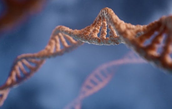 MIT Researchers Unveil AI Model to Boost RNA Vaccine Development