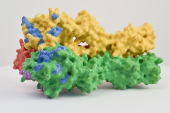 MIT Team Unveils Breakthrough in Understanding Protein Synthesis at Mitochondria with Implications for Disease Research