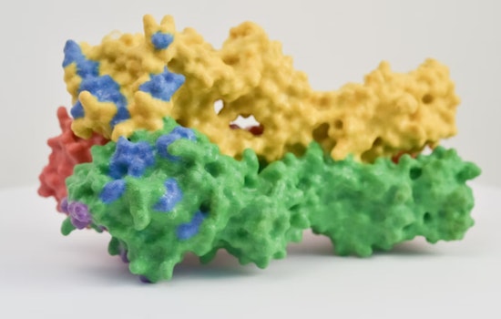 MIT Team Unveils Breakthrough in Understanding Protein Synthesis at Mitochondria with Implications for Disease Research