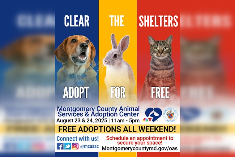 Montgomery County Joins "Clear the Shelters" Campaign, MCASAC to Waive Pet Adoption Fees on August 23-24
