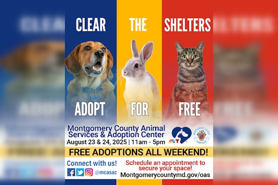 Montgomery County Joins "Clear the Shelters" Campaign, MCASAC to Waive Pet Adoption Fees on August 23-24