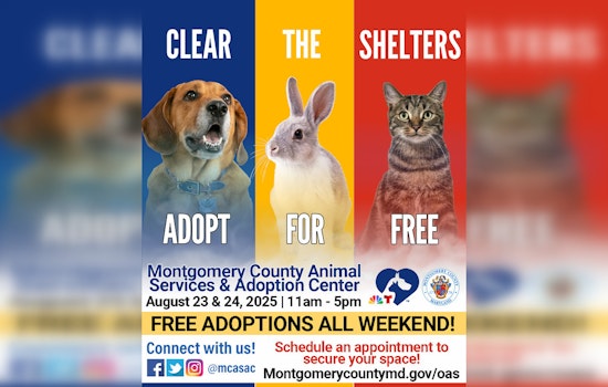 Montgomery County Joins "Clear the Shelters" Campaign, MCASAC to Waive Pet Adoption Fees on August 23-24