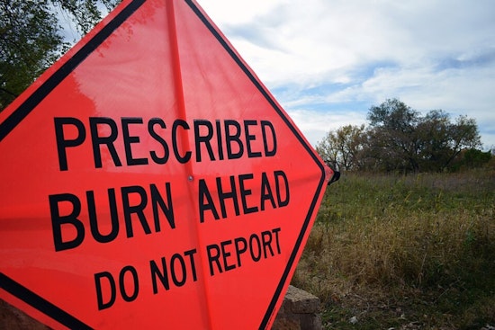 Moraga-Orinda Firefighters Conduct Prescribed Burn to Strengthen Wildfire Defenses in East Bay Area