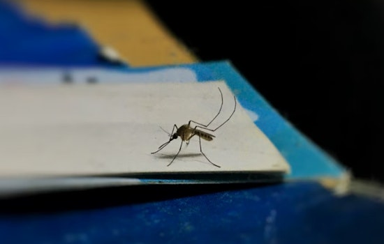 Mosquito Traps Test Positive for West Nile Virus in Metro Atlanta, Prompting Public Health Warnings in DeKalb and Fulton Counties