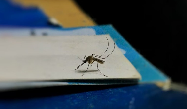 Mosquito Traps Test Positive for West Nile Virus in Metro Atlanta, Prompting Public Health Warnings in DeKalb and Fulton Counties