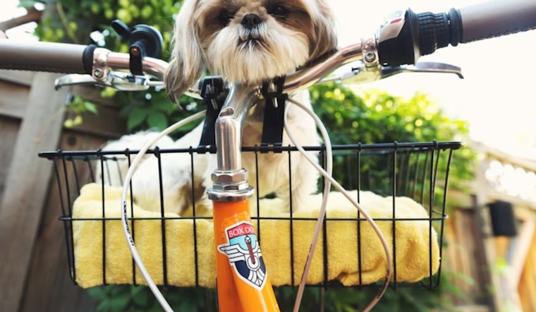 Muskegon Bikes and Brews for a Cause: Pedal for Paws Pub Crawl to Aid Local Animal Rescues