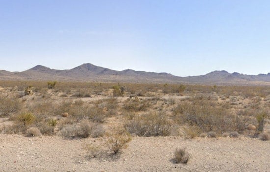 Mystery in the Mojave: Over 100 Cremated Remains Found Sprinkled Near Searchlight, BLM Probes Unlawful Ashes Dumping Outside Las Vegas