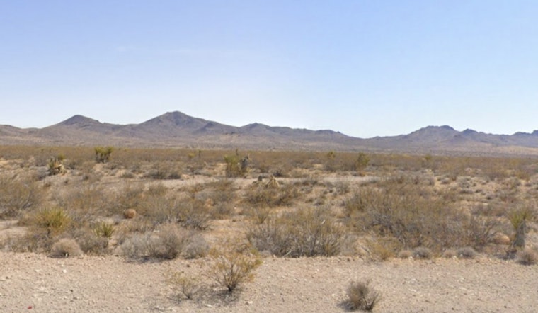 Mystery in the Mojave: Over 100 Cremated Remains Found Sprinkled Near Searchlight, BLM Probes Unlawful Ashes Dumping Outside Las Vegas