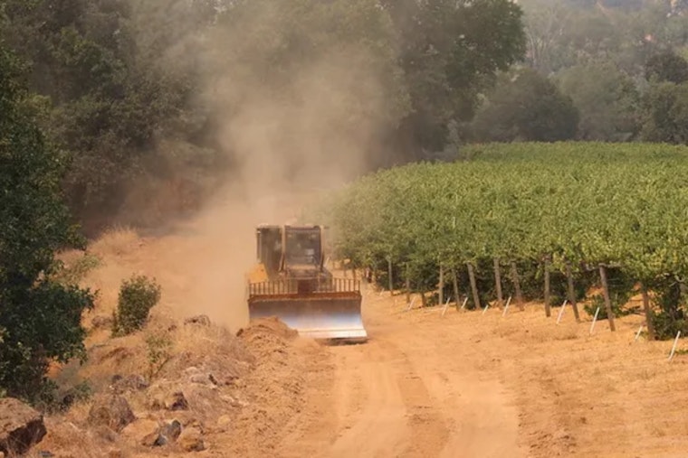 Napa Valley Winemakers Grapple with $65 Million in Losses Following Pickett Fire