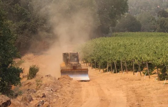 Napa Valley Winemakers Grapple with $65 Million in Losses Following Pickett Fire