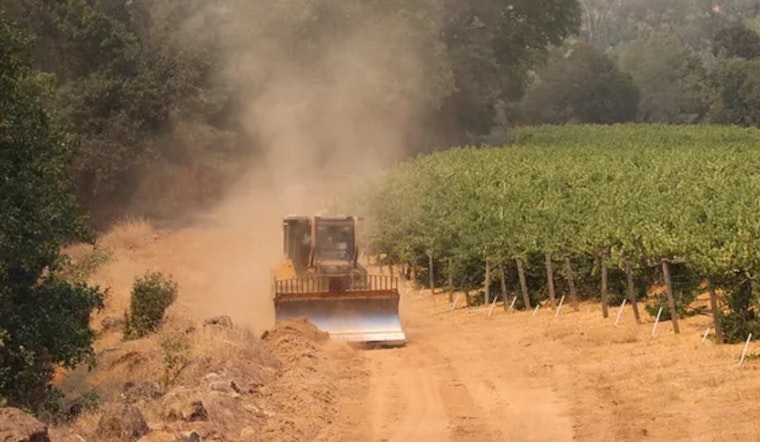 Napa Valley Winemakers Grapple with $65 Million in Losses Following Pickett Fire