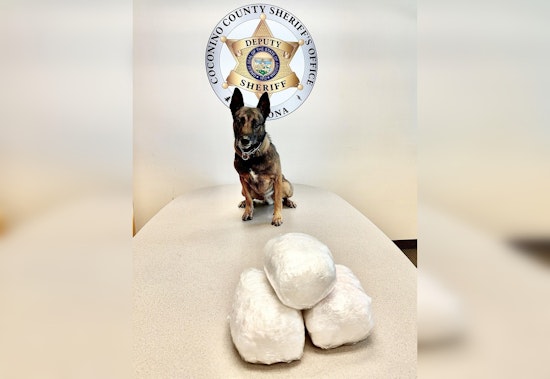 Nearly 30 Pounds of Meth Seized During Nighttime Traffic Stop Near Flagstaff, Suspect Charged