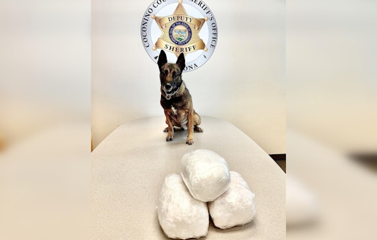 Nearly 30 Pounds of Meth Seized During Nighttime Traffic Stop Near Flagstaff, Suspect Charged