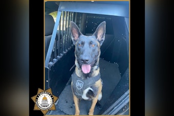 New K9 Unit Falco Tracks Down Armed Robbery Suspect in Sacramento County