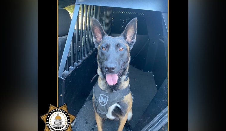 New K9 Unit Falco Tracks Down Armed Robbery Suspect in Sacramento County