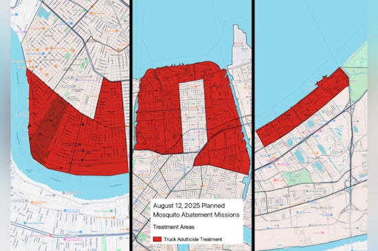 New Orleans Launches Nighttime Mosquito Blitz to Combat West Nile Virus Threat