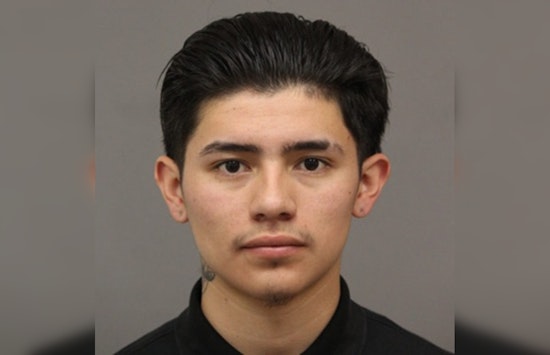 New Orleans Police Seek Person of Interest for Insight into Recent Homicide on Almonaster Avenue