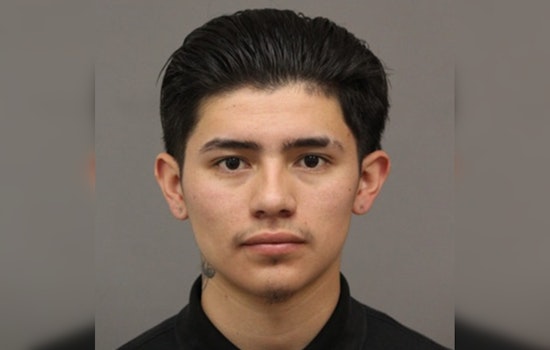 New Orleans Police Seek Person of Interest for Insight into Recent Homicide on Almonaster Avenue