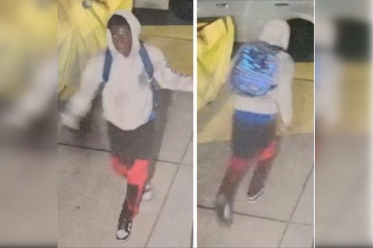 New Orleans Police Seek Public's Aid in Identifying Suspect of Car Burglary on Carlisle Court