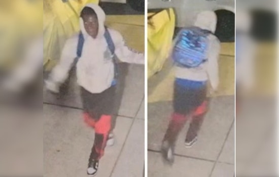New Orleans Police Seek Public's Aid in Identifying Suspect of Car Burglary on Carlisle Court