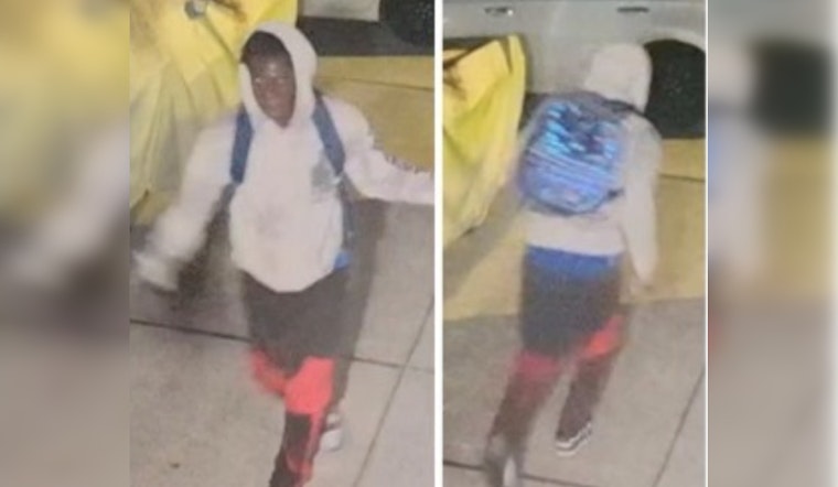 New Orleans Police Seek Public's Aid in Identifying Suspect of Car Burglary on Carlisle Court