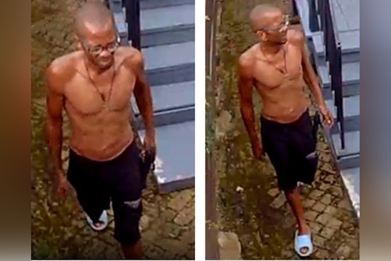 New Orleans Police Seek Public's Assistance to Identify Suspect in Washington Avenue Package Theft