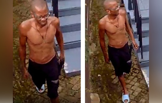 New Orleans Police Seek Public's Assistance to Identify Suspect in Washington Avenue Package Theft