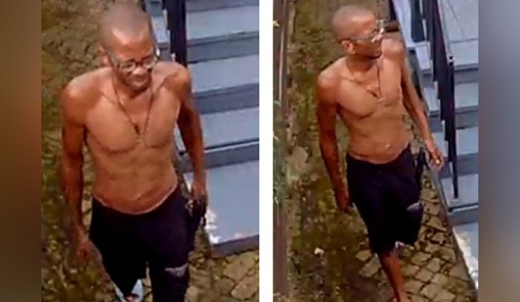 New Orleans Police Seek Public's Assistance to Identify Suspect in Washington Avenue Package Theft