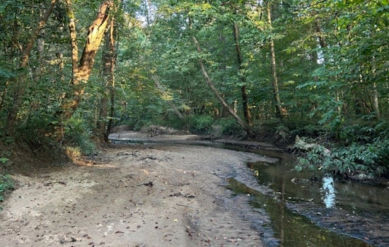 New Species of Fungus Discovered in Durham County's Preserved Forestland Spurs Biodiversity Research