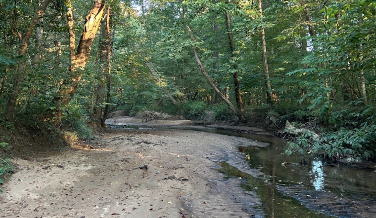 New Species of Fungus Discovered in Durham County's Preserved Forestland Spurs Biodiversity Research