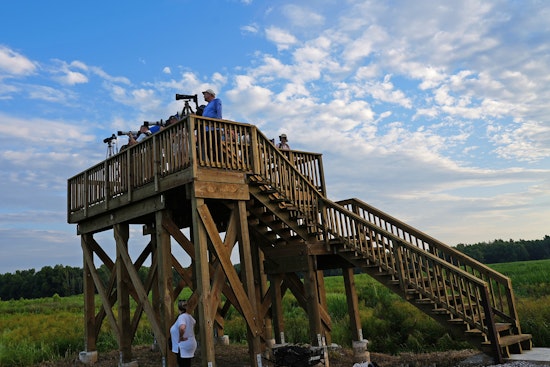 New Wildlife Observation Platform Opens at Sherburne WMA in Louisiana, Enhancing Nature Experience