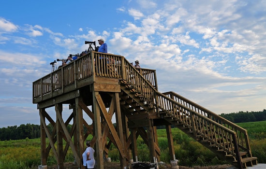 New Wildlife Observation Platform Opens at Sherburne WMA in Louisiana, Enhancing Nature Experience