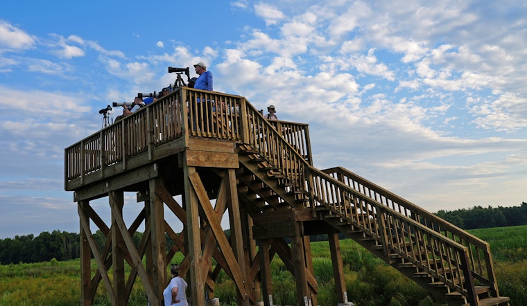 New Wildlife Observation Platform Opens at Sherburne WMA in Louisiana, Enhancing Nature Experience