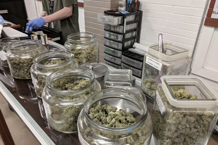 New York Cannabis Dispensaries Sue State Over Sudden Change in School Proximity Regulation