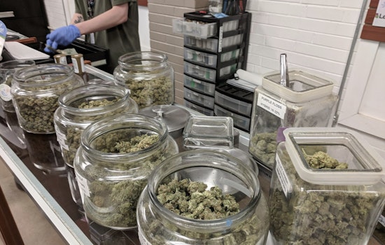New York Cannabis Dispensaries Sue State Over Sudden Change in School Proximity Regulation