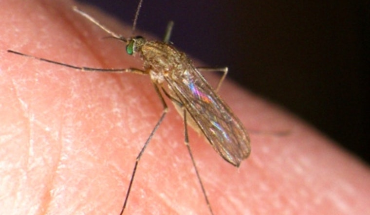 New York City Confirms First Human Cases of West Nile Virus in Queens Residents