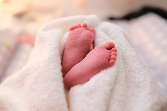 Newborn in Martha's Vineyard Suspected of Rare Powassan Virus Infection Amid Concerning Tick Season