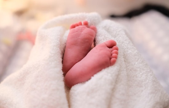 Newborn in Martha's Vineyard Suspected of Rare Powassan Virus Infection Amid Concerning Tick Season