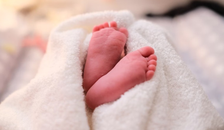 Newborn in Martha's Vineyard Suspected of Rare Powassan Virus Infection Amid Concerning Tick Season