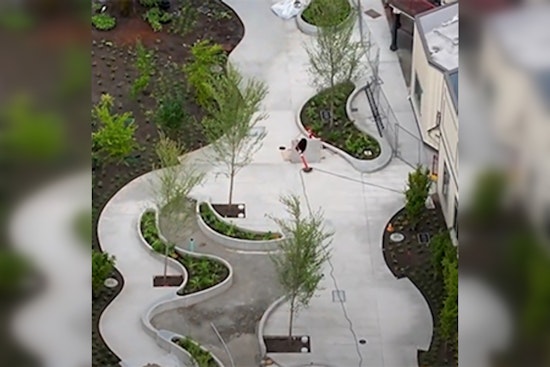 Newly Revitalized Pedestrian Park and Senior Center Plaza Open in Downtown Issaquah