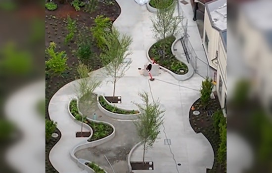 Newly Revitalized Pedestrian Park and Senior Center Plaza Open in Downtown Issaquah