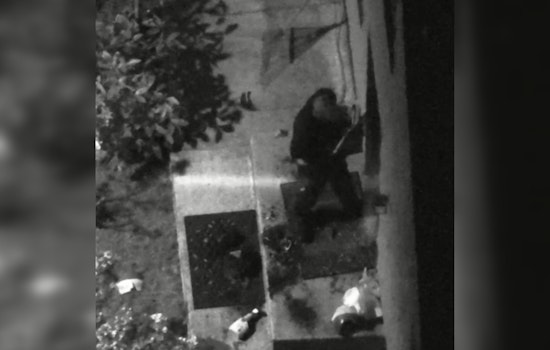 No Injuries After Armed Man's Hours-Long Standoff Ends Peacefully in Portland's Piedmont Neighborhood