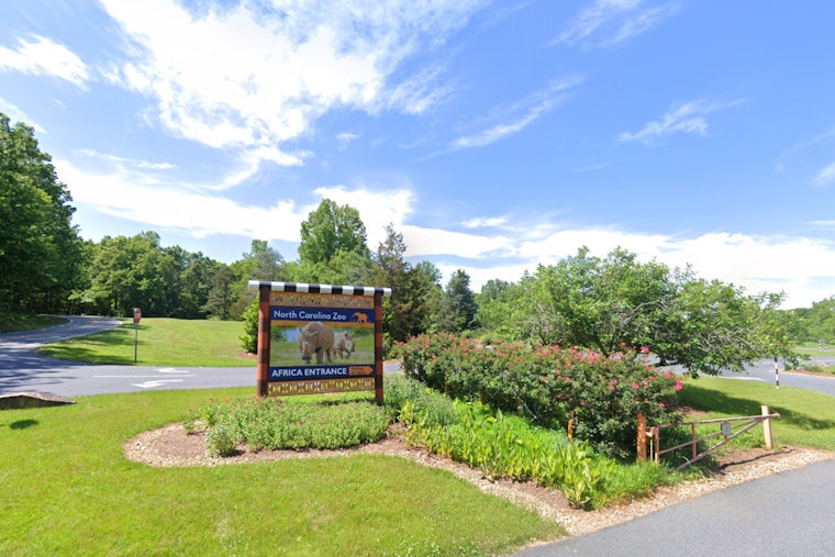 North Carolina Zoo Welcomes New Wildlife Rehabilitation Intern El Hasain Hussain with Diverse Academic Expertise