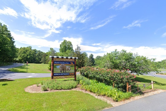 North Carolina Zoo Welcomes New Wildlife Rehabilitation Intern El Hasain Hussain with Diverse Academic Expertise