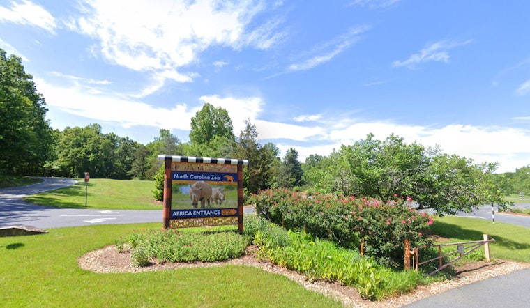 North Carolina Zoo Welcomes New Wildlife Rehabilitation Intern El Hasain Hussain with Diverse Academic Expertise